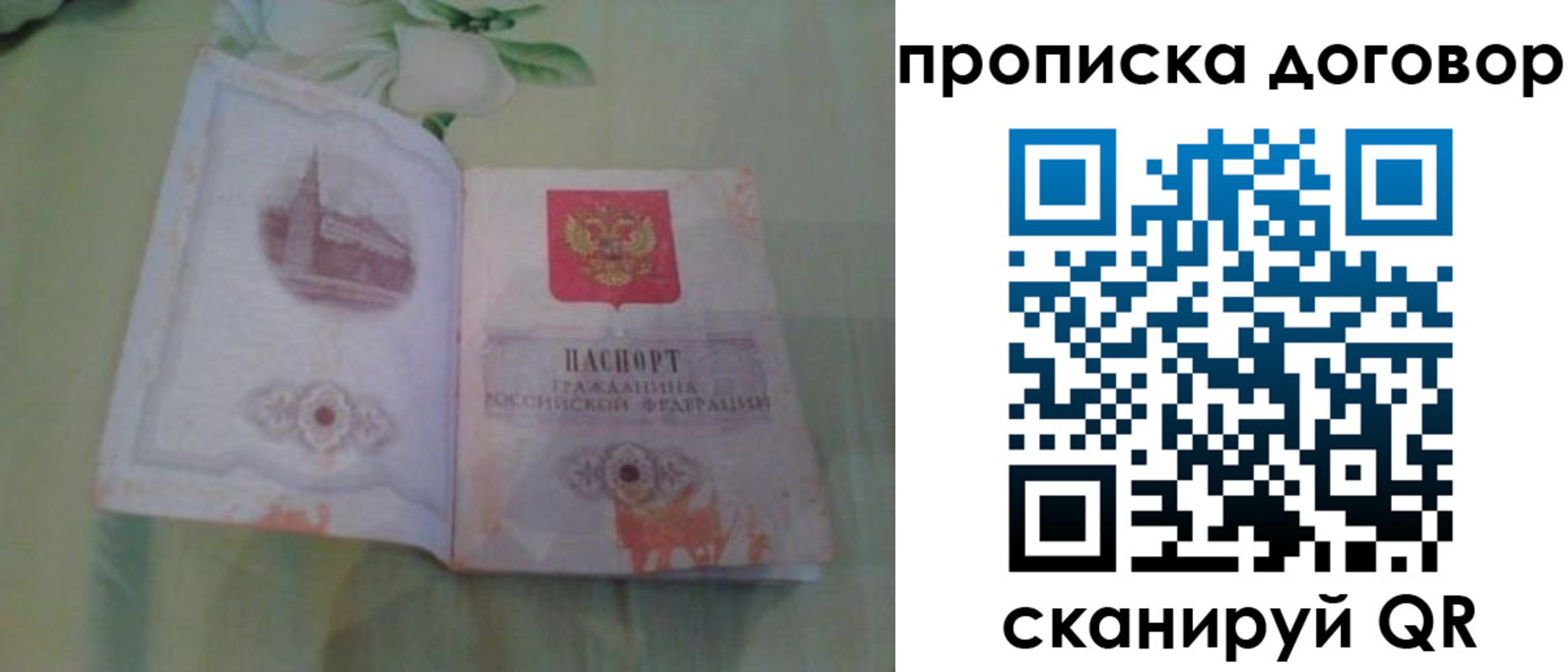 временная регистрация гарантия в Мамадыше
